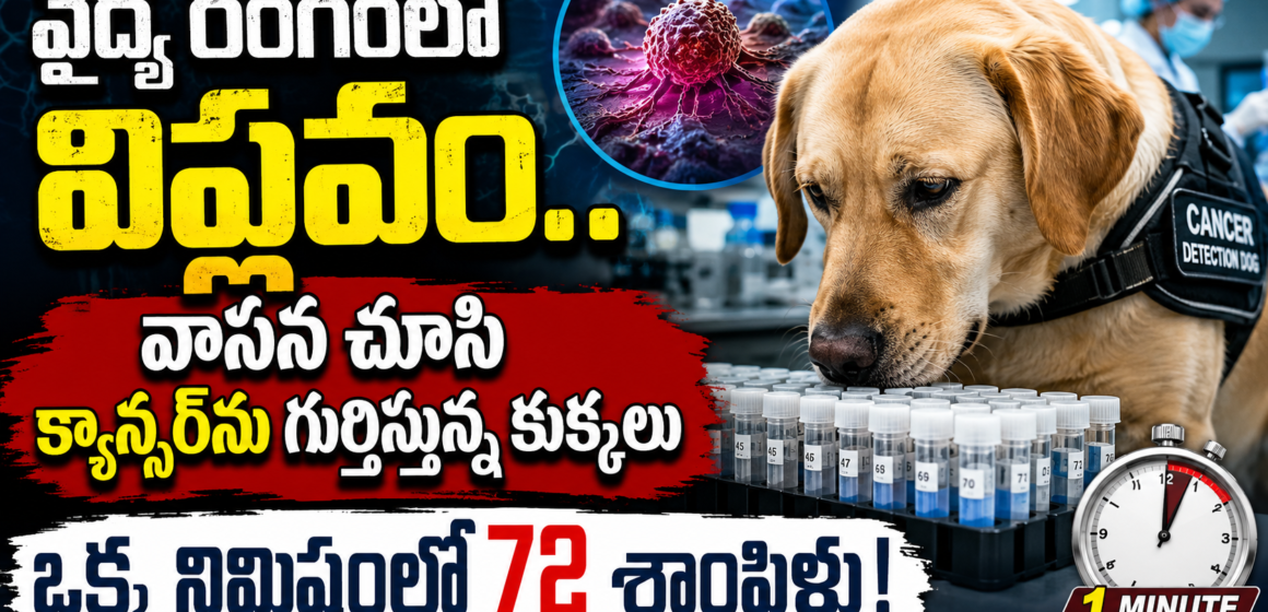 Cancer Detection Revolution: Dogs Identify Cancer in Seconds Cancer Detection Revolution: Dogs Identify Cancer in Seconds