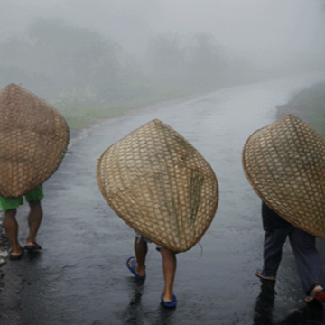 Indias rainiest village Indias-rainiest-village