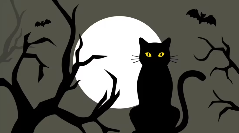 Superstitions Superstitions: What Are They and Why Do We Believe in Them?