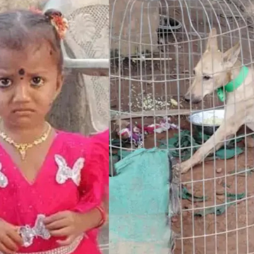 Search Continues for Missing Child Gnaneswari in Tuni Search Continues for Missing Child Gnaneswari in Tuni