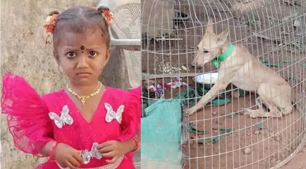 Search Continues for Missing Child Gnaneswari in Tuni Search Continues for Missing Child Gnaneswari in Tuni