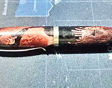 World Smallest Pen In Bihar World Smallest Pen In Bihar