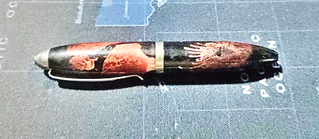 World Smallest Pen In Bihar World Smallest Pen In Bihar