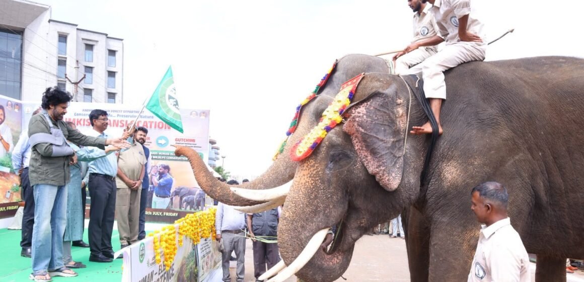 Kumki Elephants: అడవి ఏనుగులకు చెక్! రంగంలోకి ‘కుంకీ’ ఏనుగులు.. పవన్ ఘన స్వాగతం