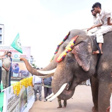Kumki Elephants: అడవి ఏనుగులకు చెక్! రంగంలోకి ‘కుంకీ’ ఏనుగులు.. పవన్ ఘన స్వాగతం